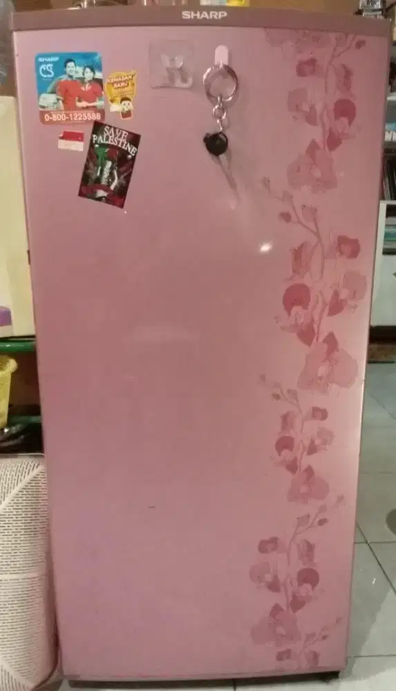 Kulkas Sharp 1 pintu