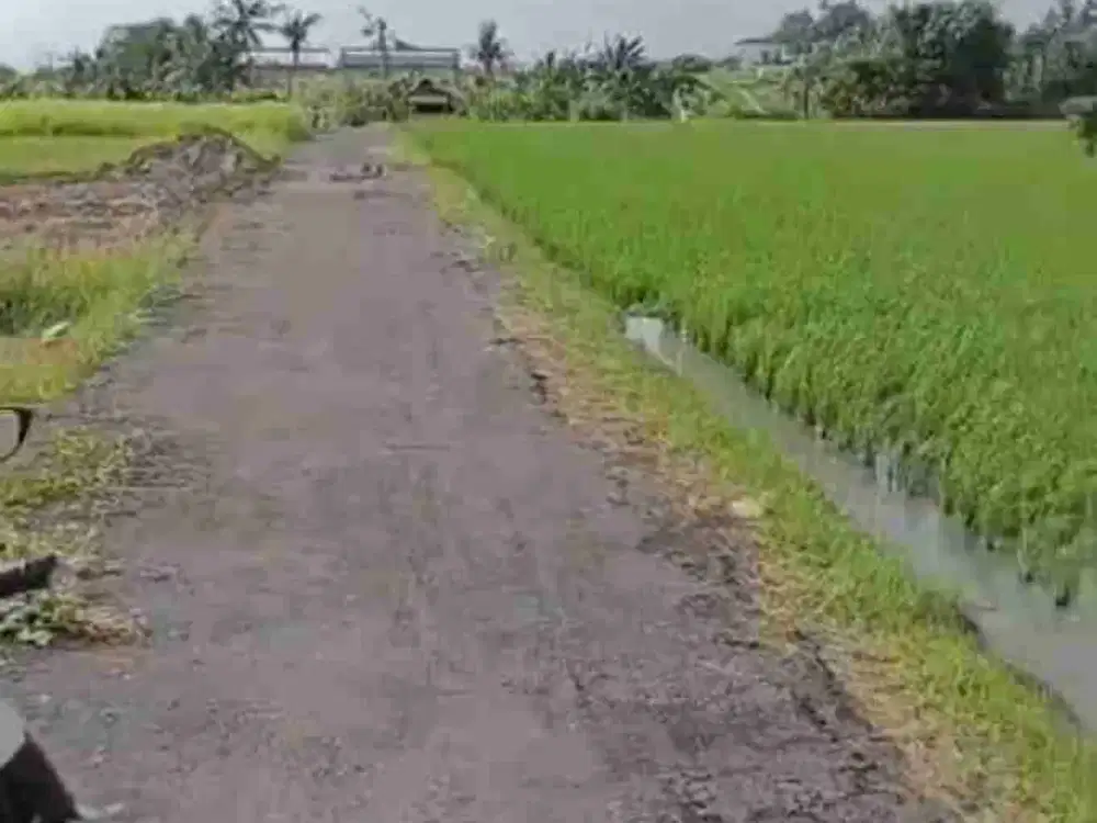 tanah dekat pantai kedunggu Tabanan bali