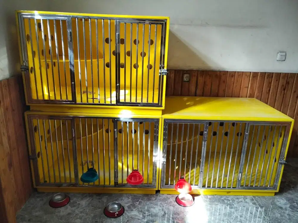 Kandang kucing bandung