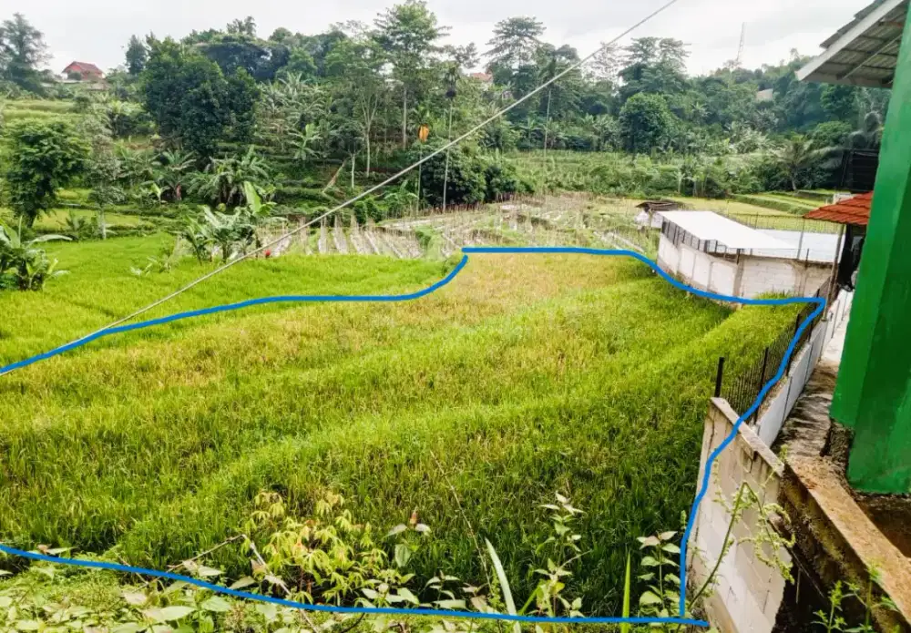 Dijual tanah sawah aktif, cocok untuk Rumah, Villa atau juga sawah