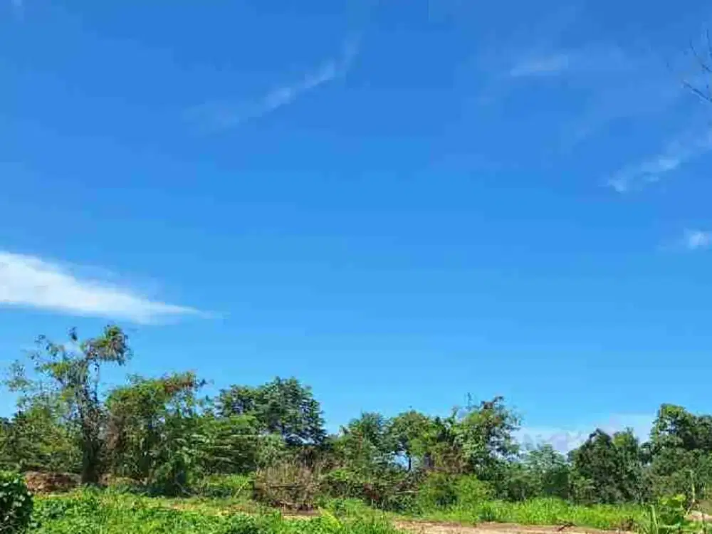 Dijual tanah premium di lokasi paling dicari!