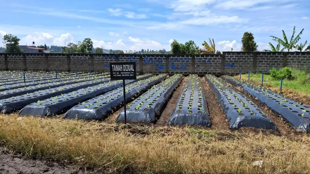 Tanah Strategis di Dekat Wisata Lembang