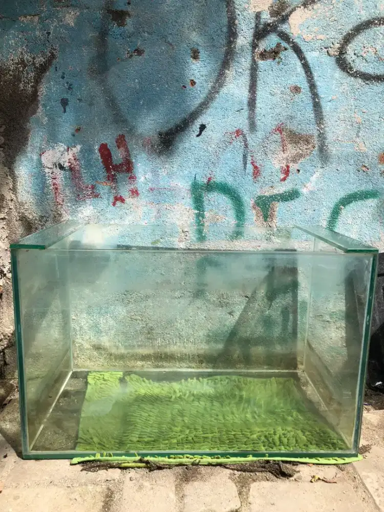 JUAL AKUARIUM SECOND