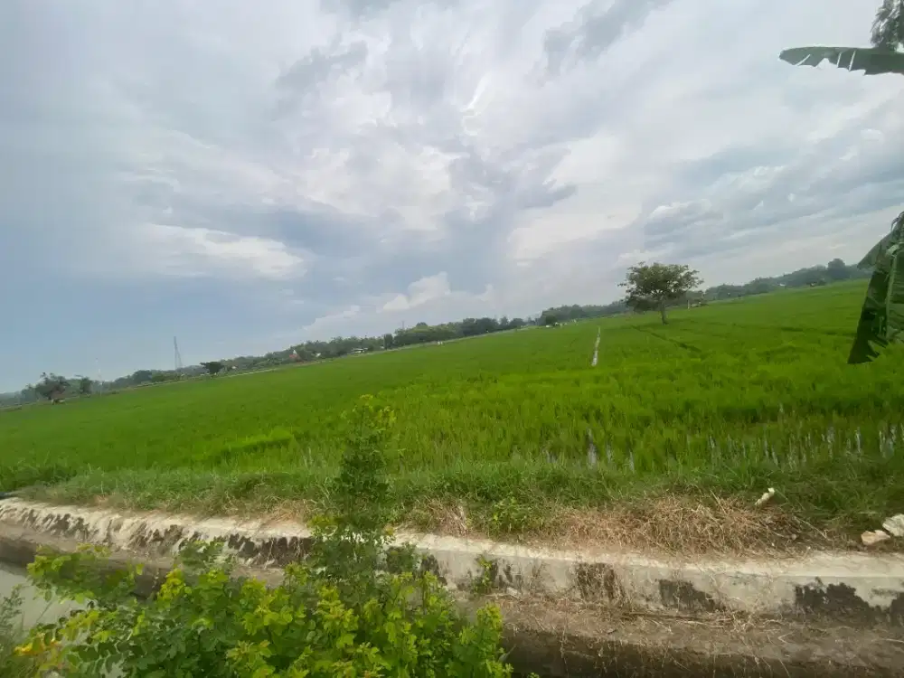 Dijual Tanah Sawah Produktif Wonogiri