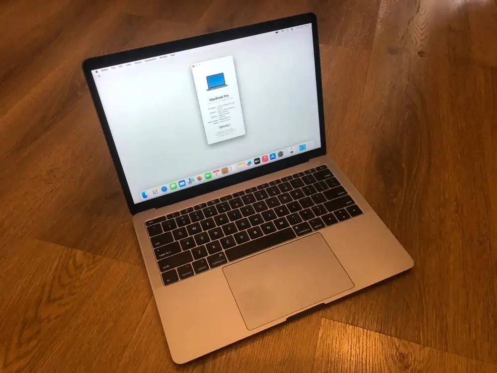 Macbook pro 2017 ram 8gb MULUS