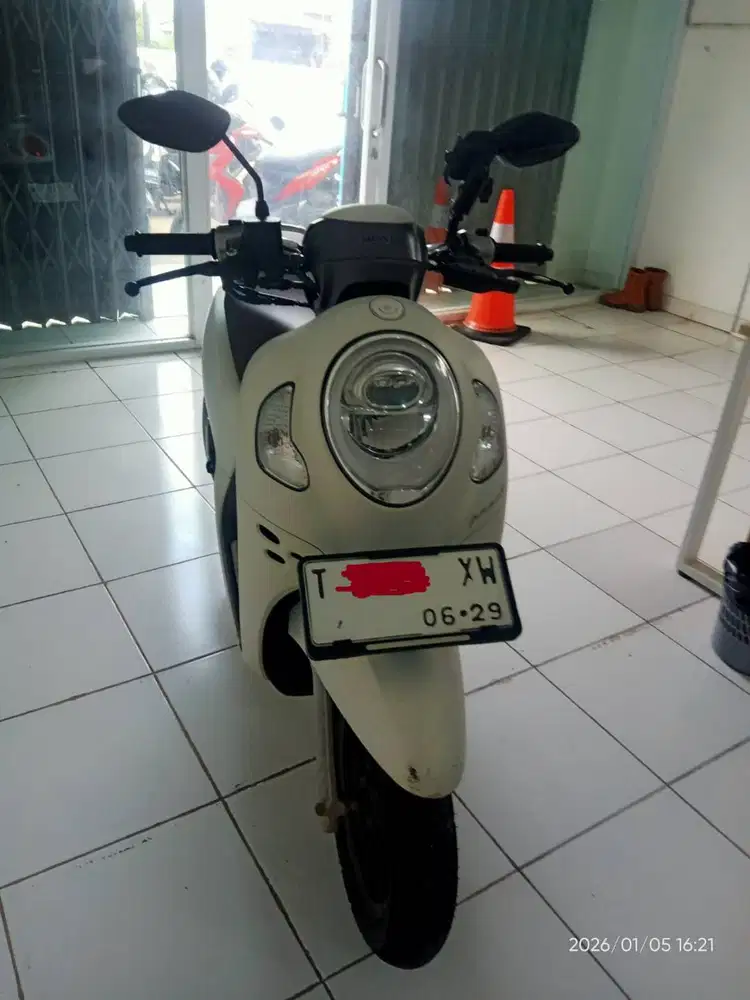 Honda Scoppy 2024