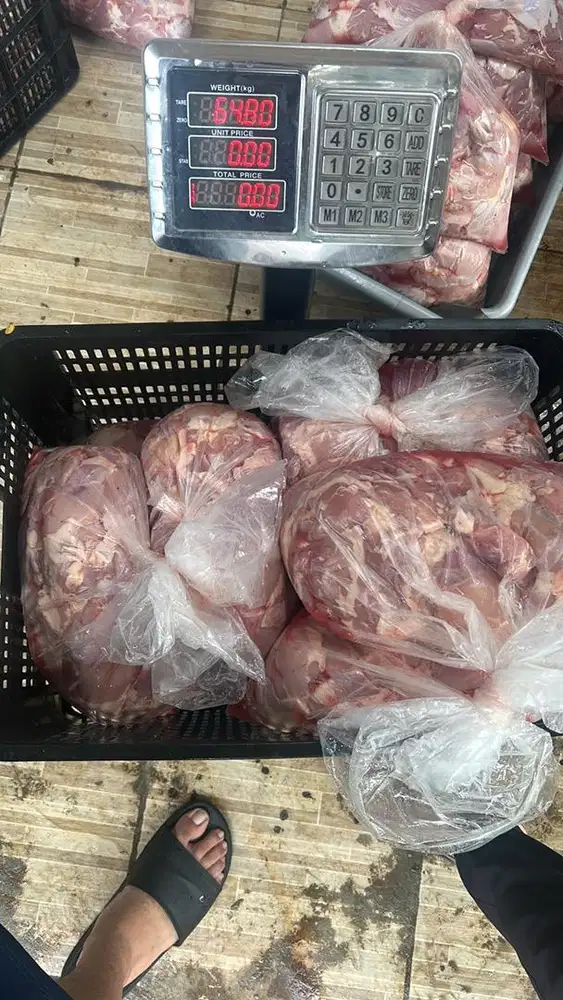 Admin jual ayam / admin ayam / admin