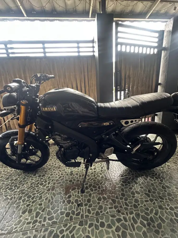 Yamaha xsr 2023