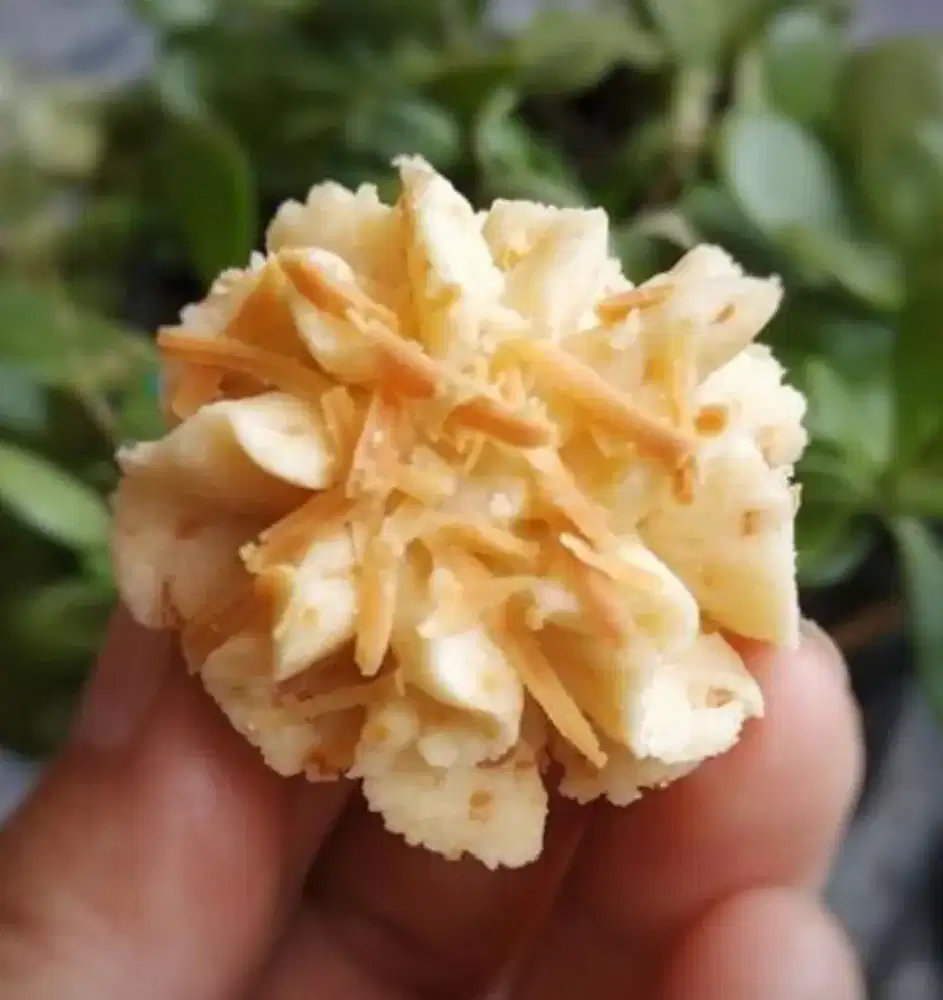 Aneka kue kering lebaran