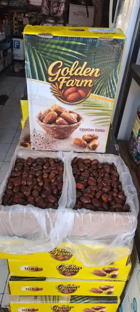 Kurma Mesir God Valey