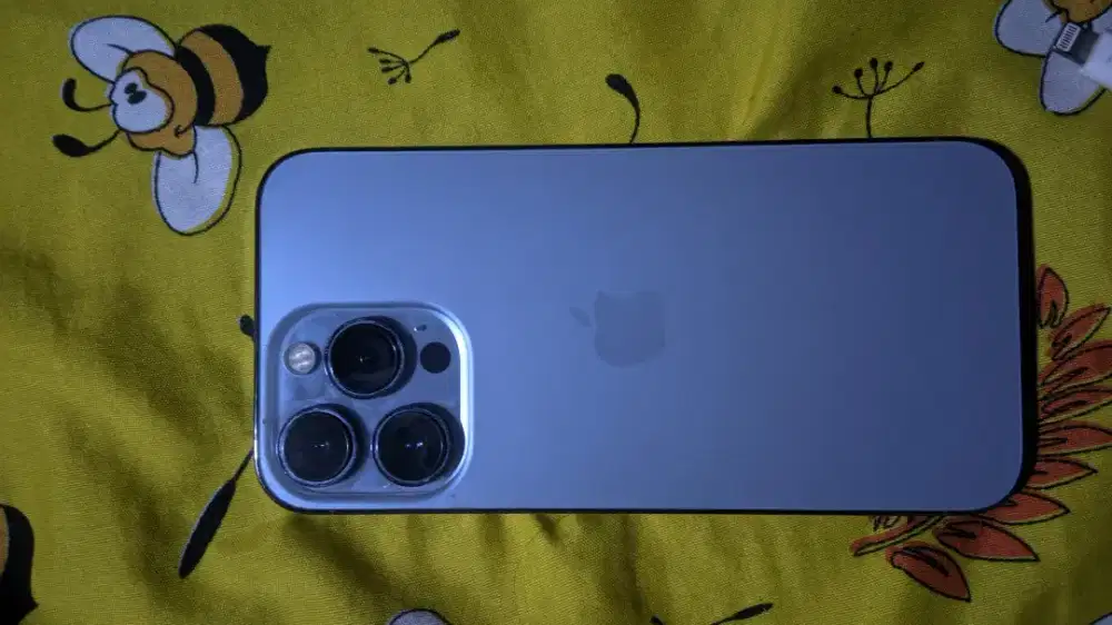 iPhone 13 pro 256 GB