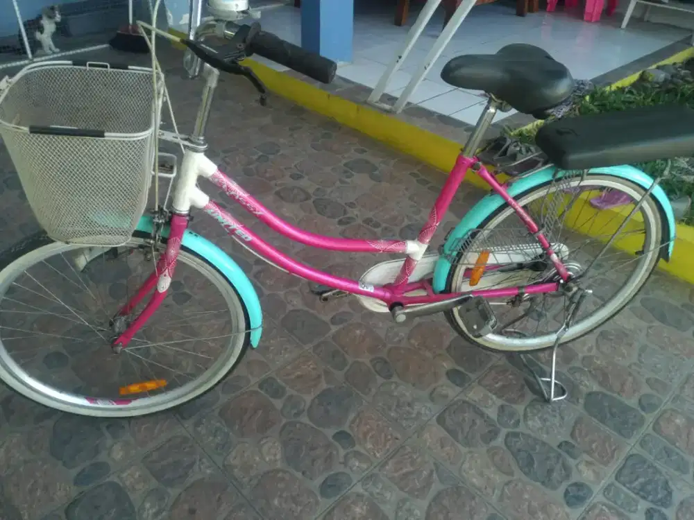 Sepeda keranjang bsar