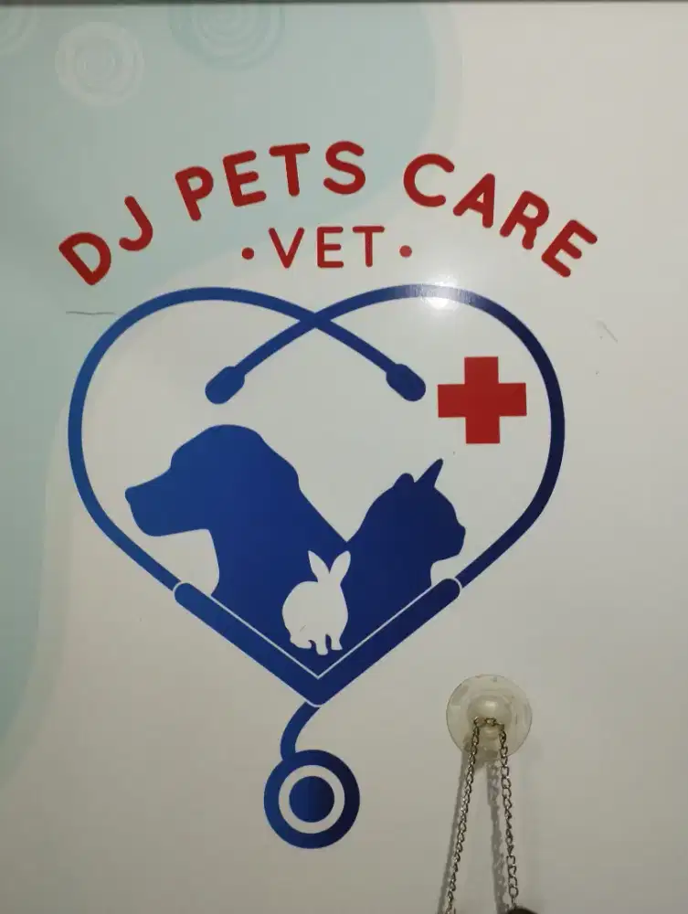 Dicari admin+ob+groomer