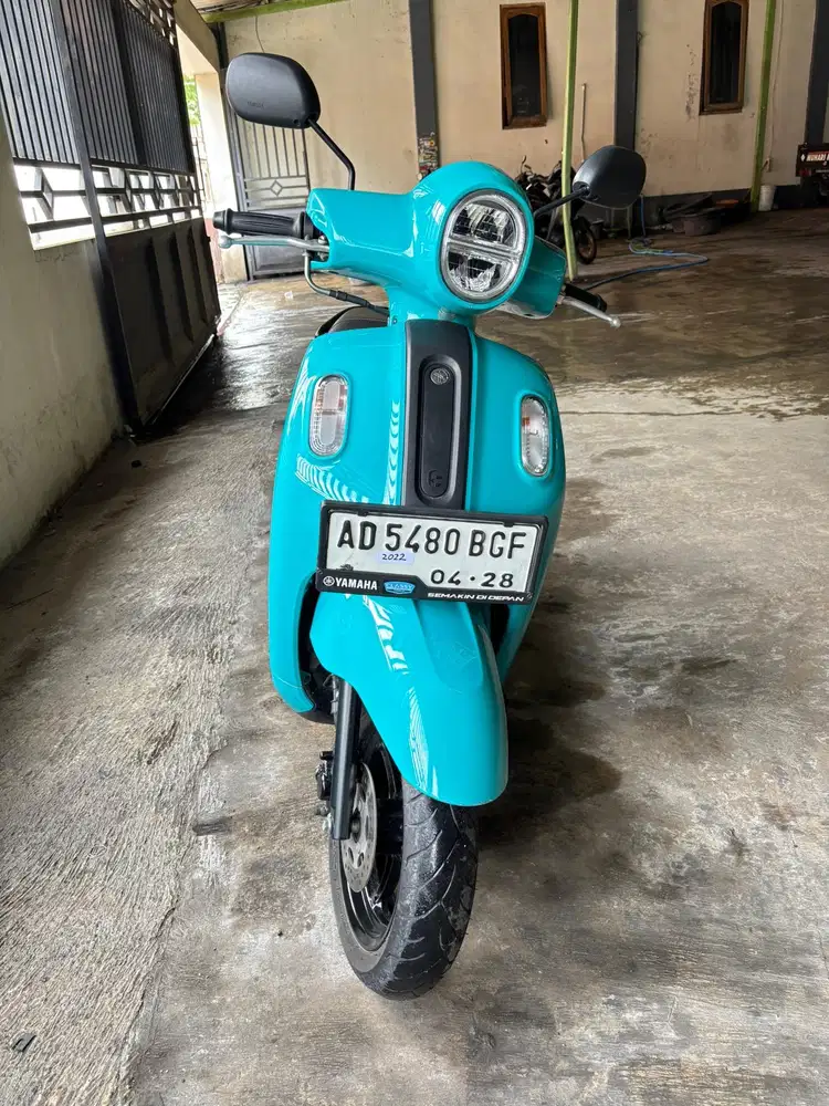 FAZZIO MURAH TAHUN 2022