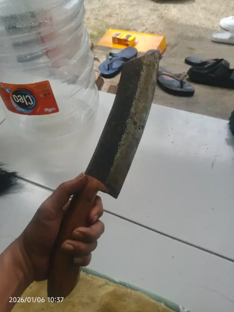 Pisau cacah tulang super tebal fulltang