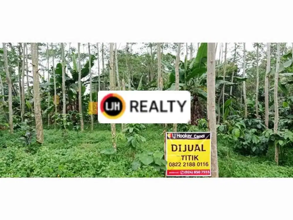 Kavling di Limbangan Kendal Jawa Tengah