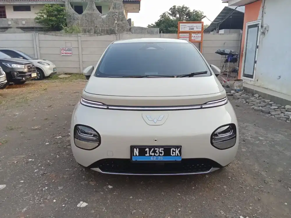 Wuling Cloud EV Pro 460km 2024