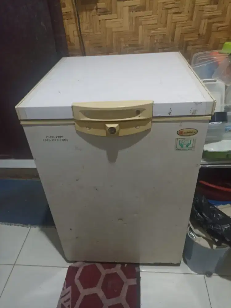 Freezer box 100lt