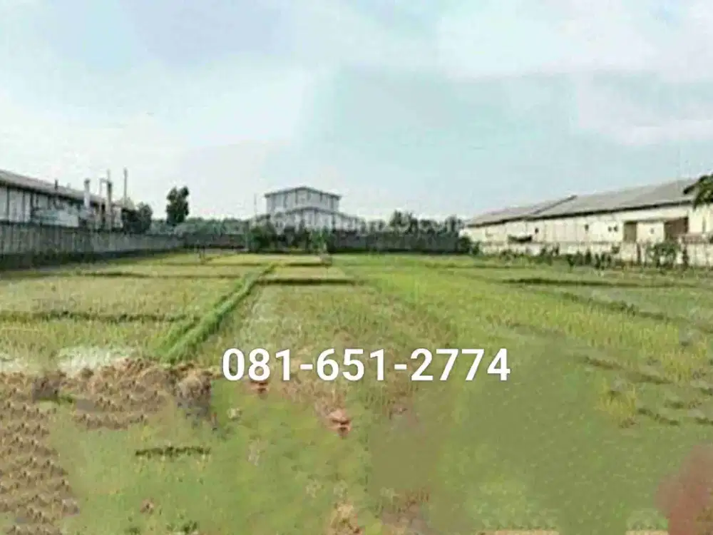 Tanah Raya Wringinanon Gresik