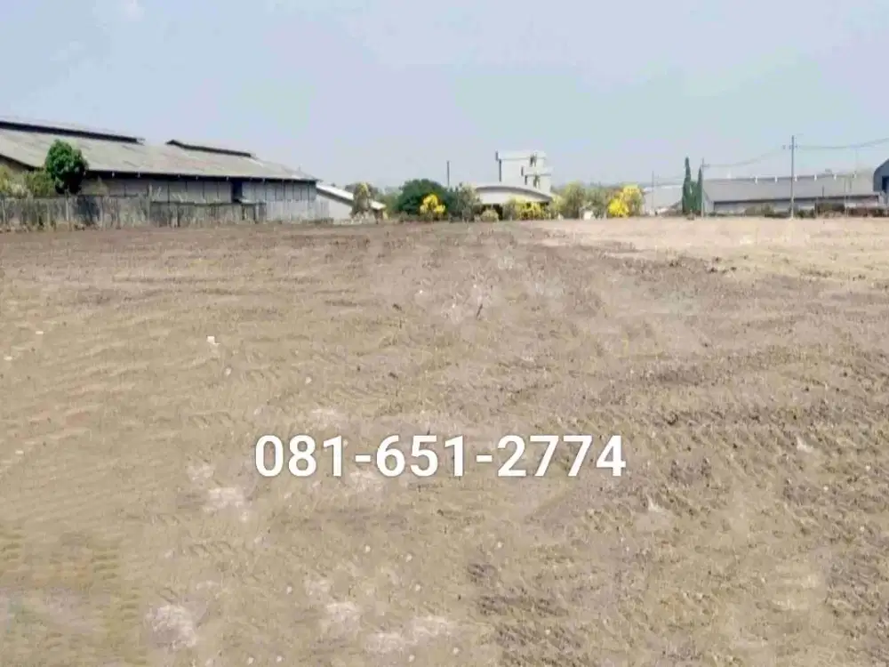 Tanah di Ngoro Mojokerto