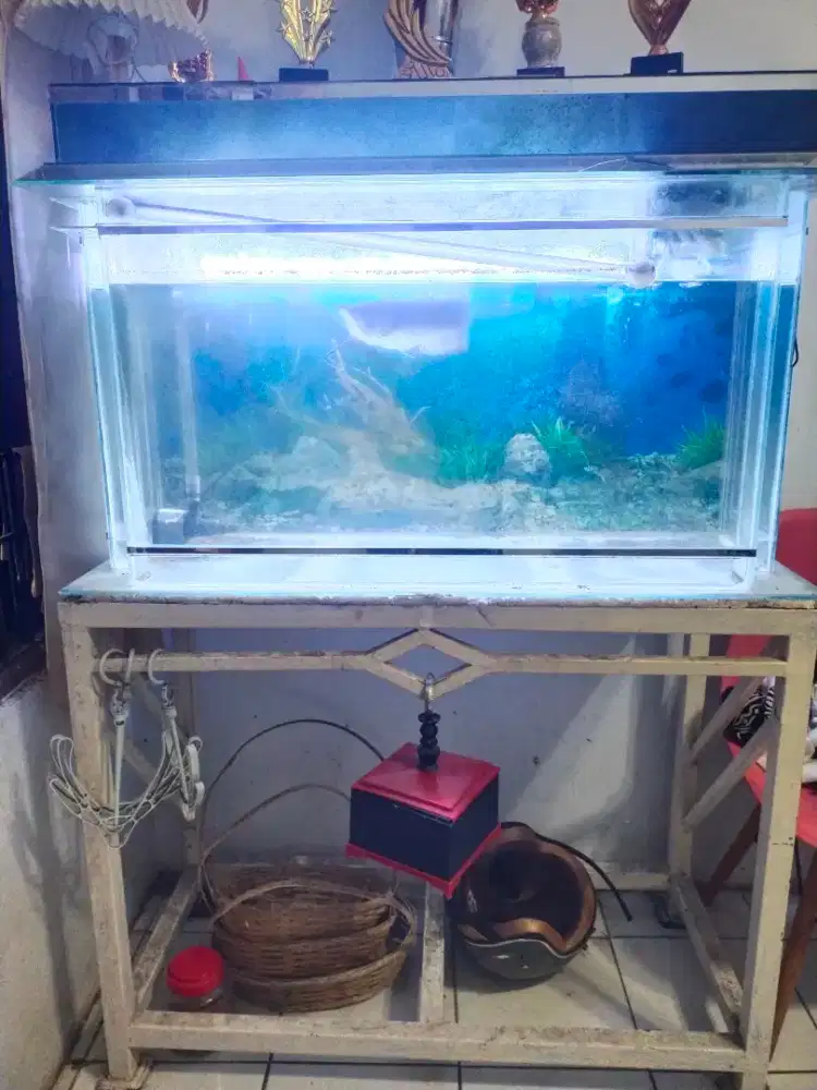 Ambil semua Aquarium 100x60x40& mejanya&alat2&aquarium kecil2 4 buah
