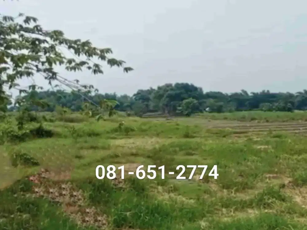 Tanah Industri Nganjuk Kertosono.