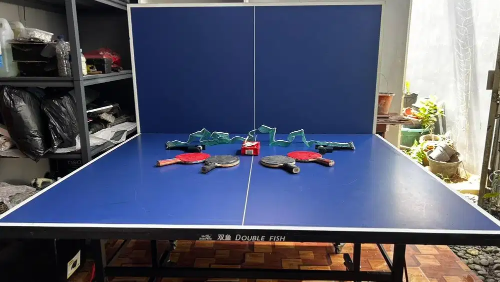 Meja pingpong DoubleFish 201s - second 80% -Bonus item
