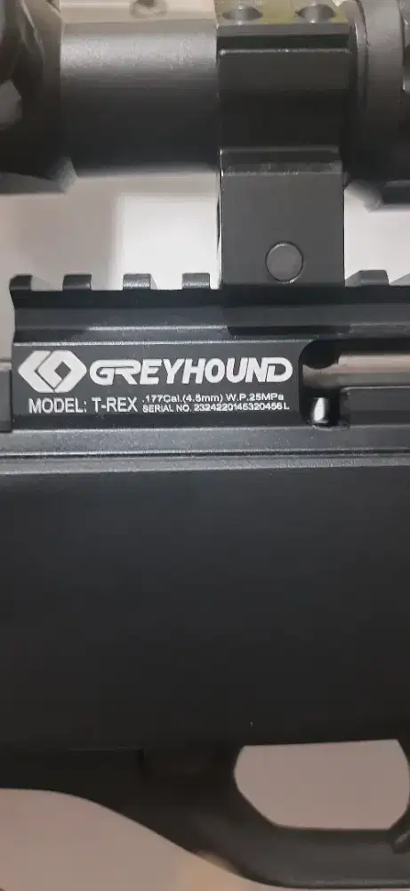 GREYHOUND T-REX MODEL CLASIC