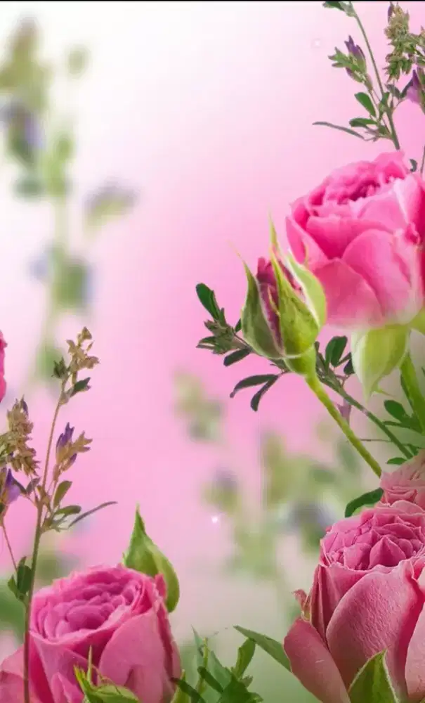 Les bahasa Inggris privat