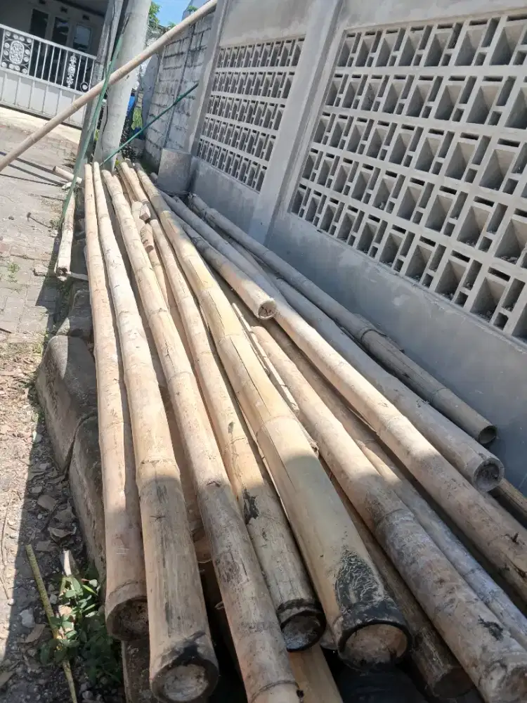 Jual bambu murah