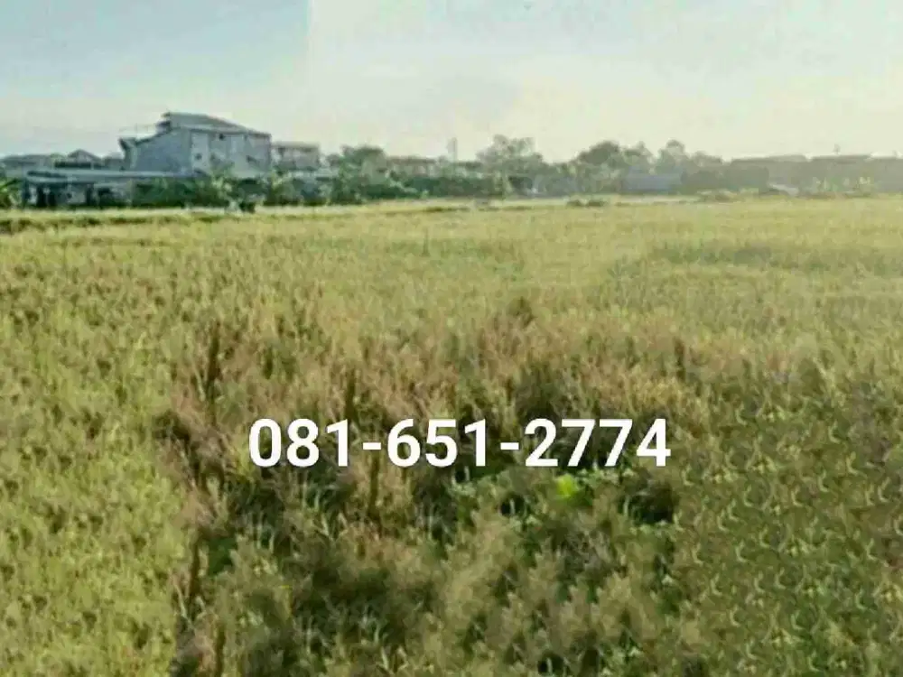 Tanah di Lingkar Timur Sidoarjo.