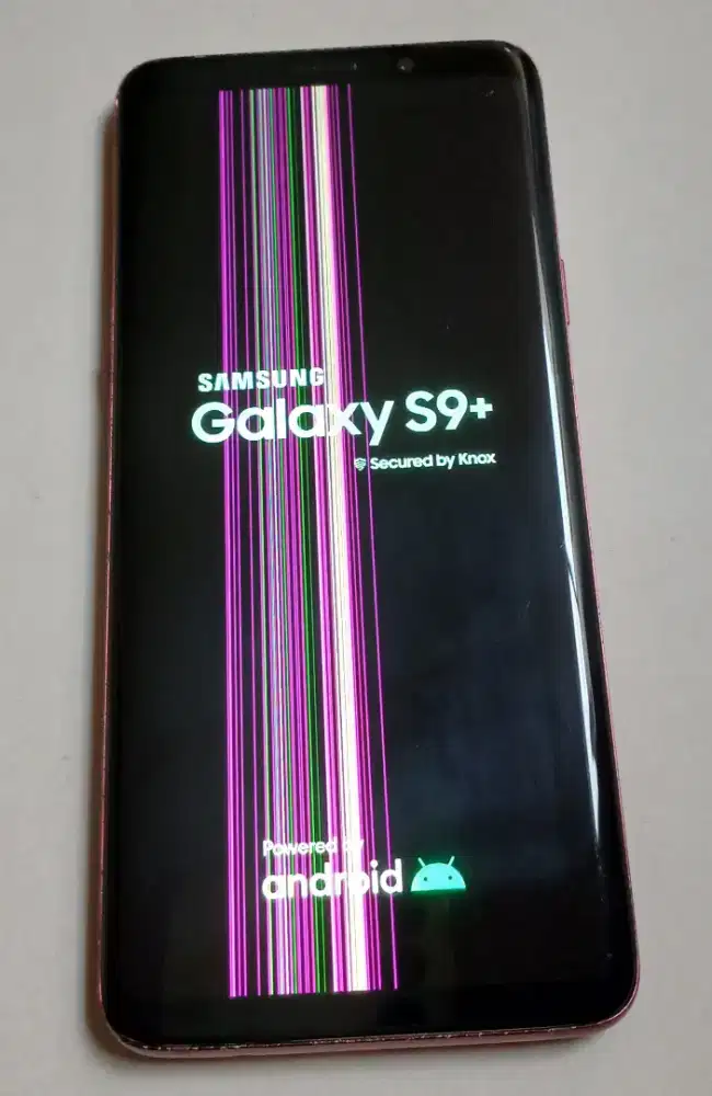 Samsung S9 Plus 6/128 WIFI Only cek dulu