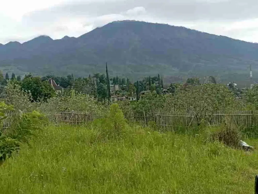 TANAH KAVLING MURAH KOTA BATU DEKAT SELECTA