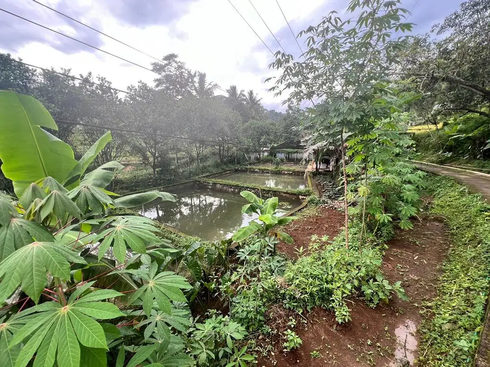 Dijual kolam ikan air deras