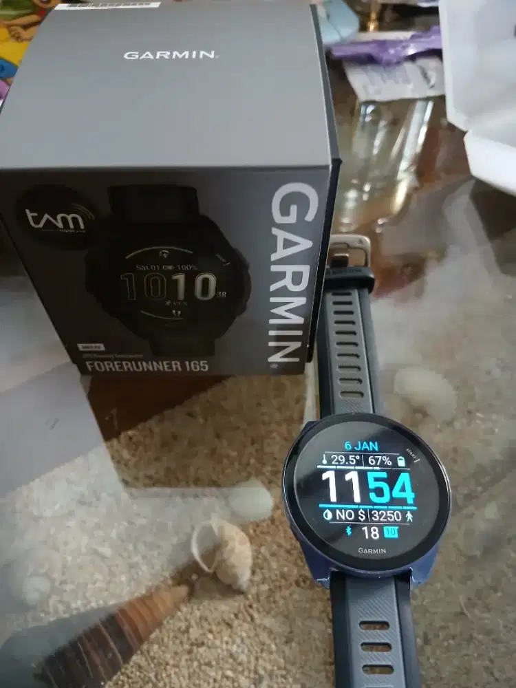 Smartwatch Garmin 165