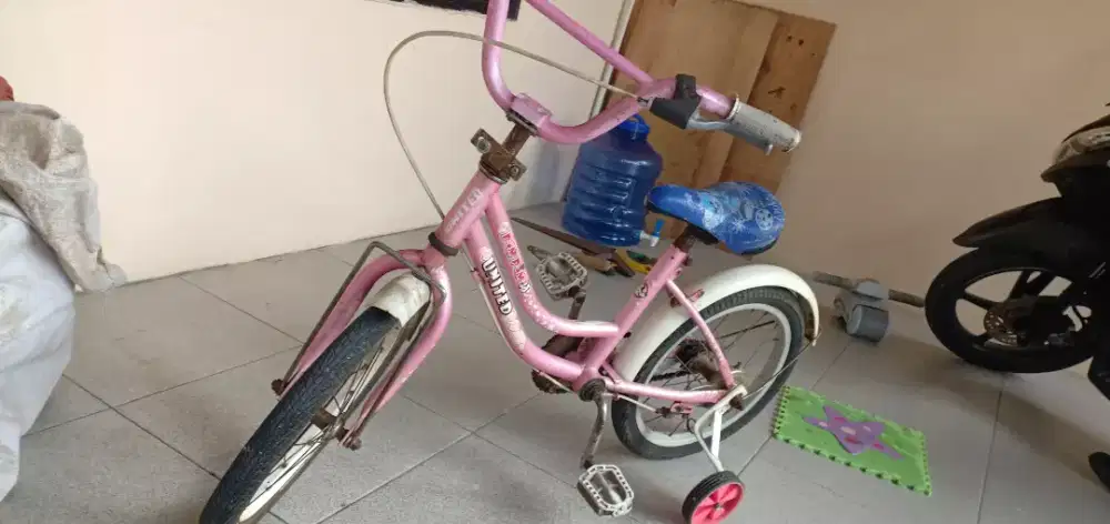 Dijual sepeda anak united