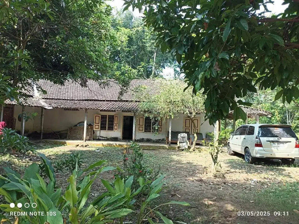 Dijual rumah dan tanah, cocok buat usaha peternakan