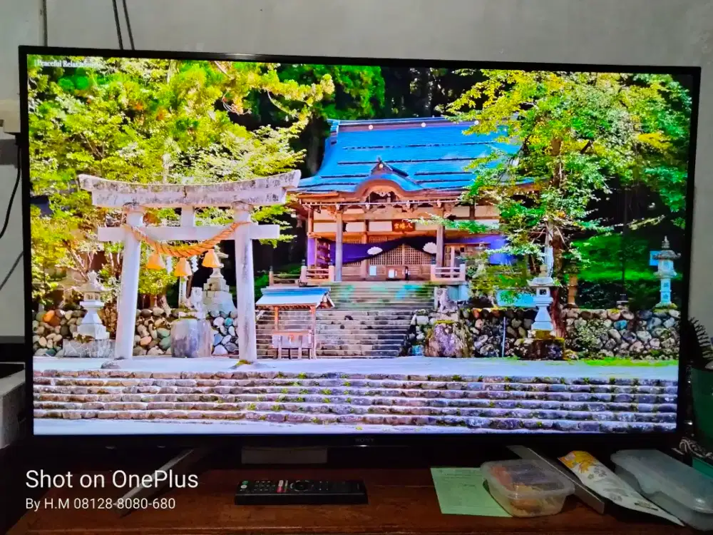 SONY BRAVIA 49 Google TV 4K