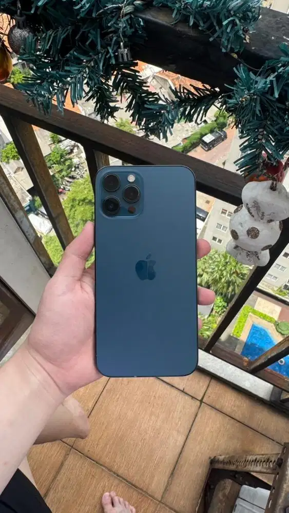 iphone 12 pro max 256