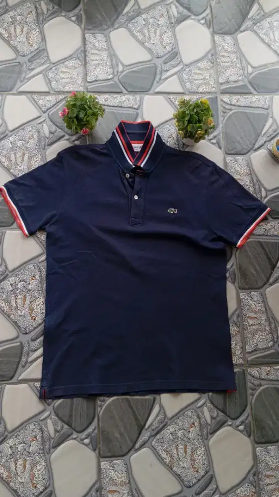 polo kerah lacoste