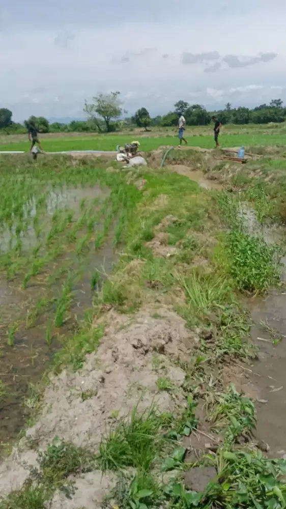 SAYA LAGI BUTUH PEKERJAAN