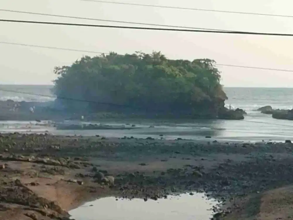 Dijual tanah dipinggir jalan utama full view ditabanan