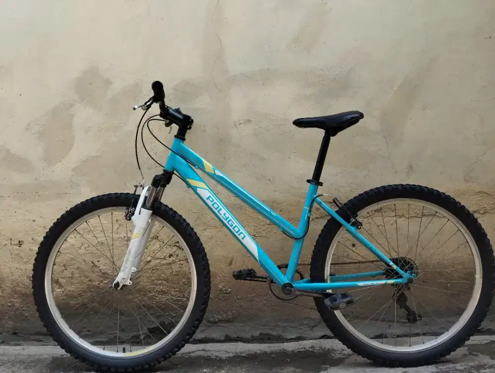 Sepeda POLYGON MONARCH 2.0 Lady