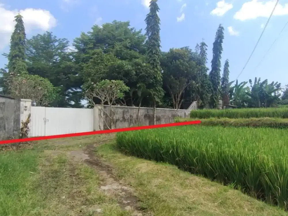 Tanah MURAH View Sawah 750 Meter Dari Pantai di Gianyar Dekat Bali Safari
