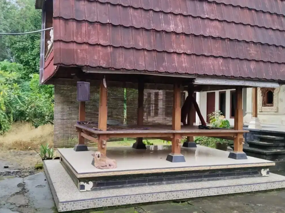 DIJUAL 1 BIDANG TANAH & BANGUNAN – KABUPATEN TABANAN