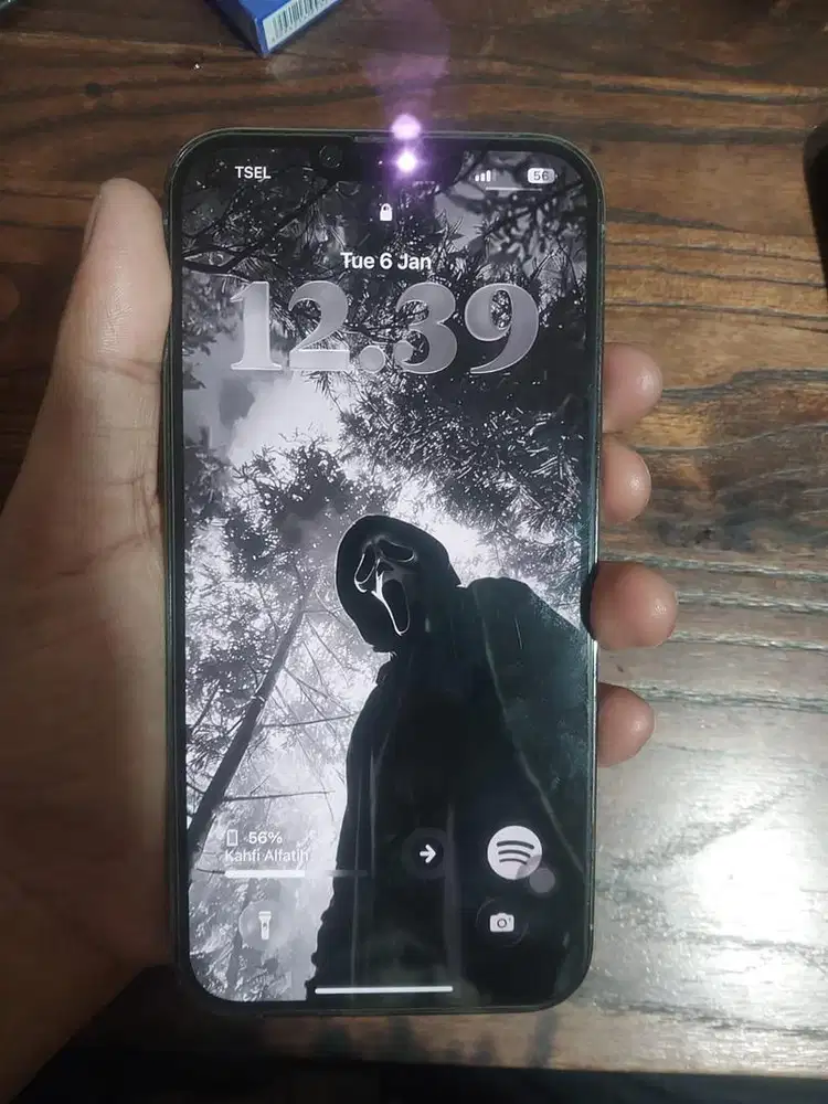 iPhone 13 PM 256 GB Sierra Blue