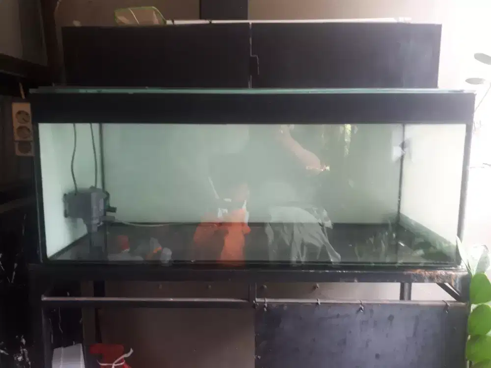 AQUARIUM ARWANA 8 ml