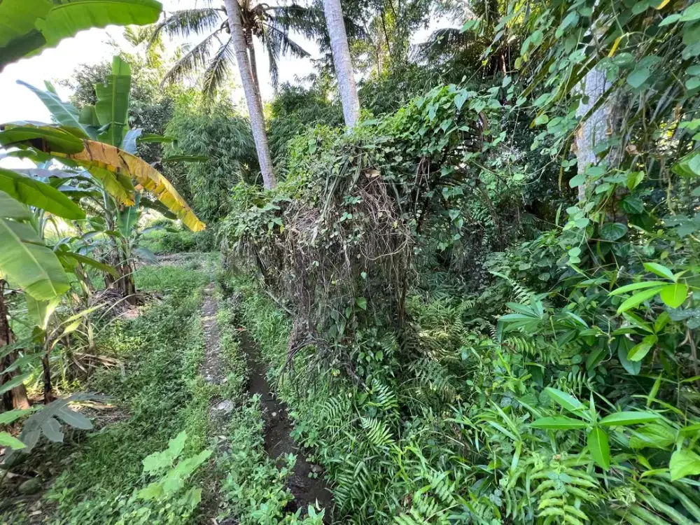 DIJUAL 1 BIDANG TANAH – KABUPATEN GIANYAR