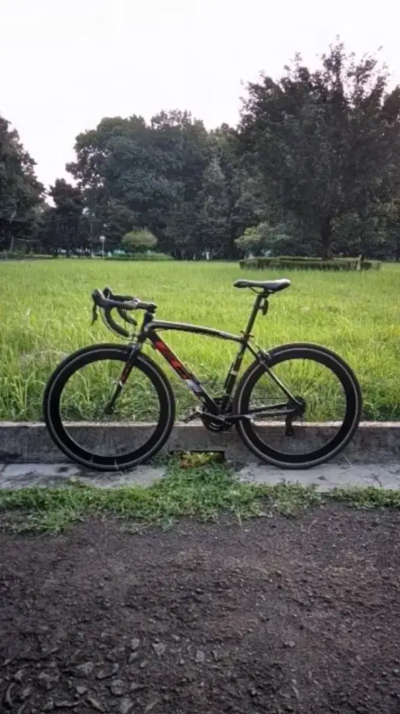 roadbike evergreen rapier