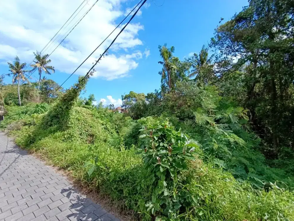 DIJUAL 2 BIDANG TANAH – KABUPATEN GIANYAR